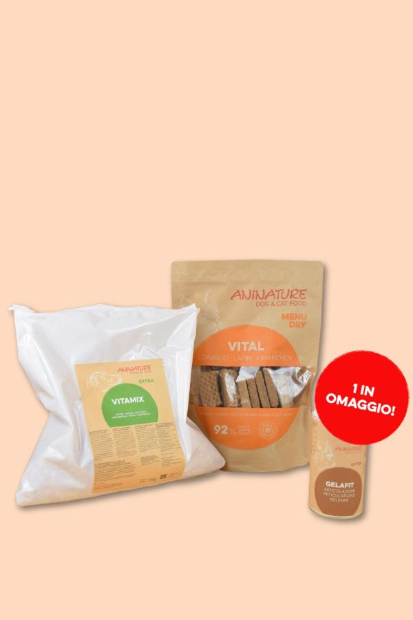 promozione gatto 