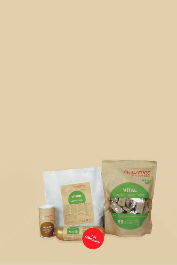 promozione set cane 