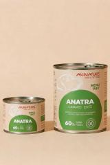 barattolo anatra cani